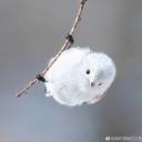 cathybird0714 avatar