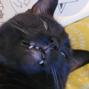 catlady-spinsterposting avatar