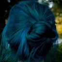 catlessevercold avatar