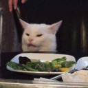 catlikecatastrophe avatar