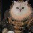 catluvandprosper avatar