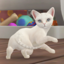 catnipsimz avatar