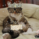 catpartycollective avatar