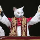 catpopealliance avatar