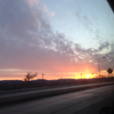 cats-and-curls avatar