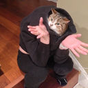 cats-in-a-human-suit avatar