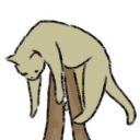 cats-inthe-cradle avatar