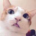 cats-tvs-more avatar