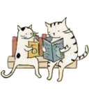 catsandbooksstuff avatar