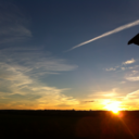 catsandcountrylover avatar