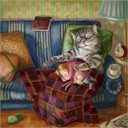 catsandsavagery-blog-blog avatar