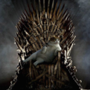 catsandthrones avatar