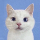 catsarecool317 avatar