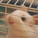 catsaregray-blog avatar