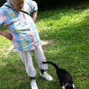 catsatthepier avatar