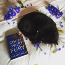 catsbookcorner avatar