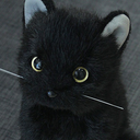 catscafe-blog1 avatar