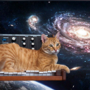catscancat avatar