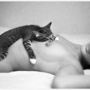 catscarscuties avatar