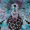 catseyemagica avatar