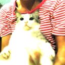 catsforthought avatar