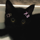 catshapedlamp avatar