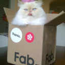 catsinfabboxes-blog1 avatar