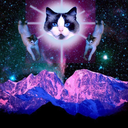 catsinspacewithpizza avatar