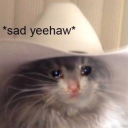 catsizedcowboyhat avatar
