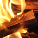 catslookingforthemanager avatar