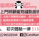 catsmammyhk-blog avatar