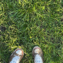 catsnackconnoisseur avatar