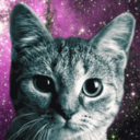 catsnguns avatar