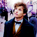 catsnidgett-009 avatar