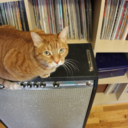 catsonamps avatar
