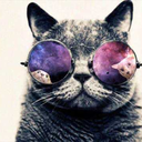 catsoverloaded avatar