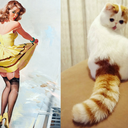 catsthatlooklikepinupgirls avatar