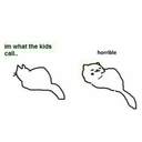 catsthetic-cats avatar