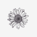 catstruenature avatar