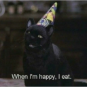 catstuckinatree04 avatar