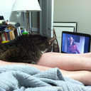 catswatchingstartrek avatar