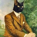 catswearingclothes avatar