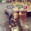 cattinthecity avatar