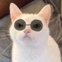 cattoru avatar