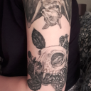 cattrappedinahumanbody avatar