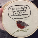 cattraxneedsfood avatar