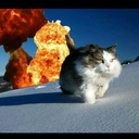 catwhisperzor avatar