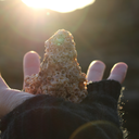 catwithoutboots avatar