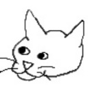 catxcats avatar