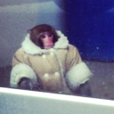 cauldronperfume avatar